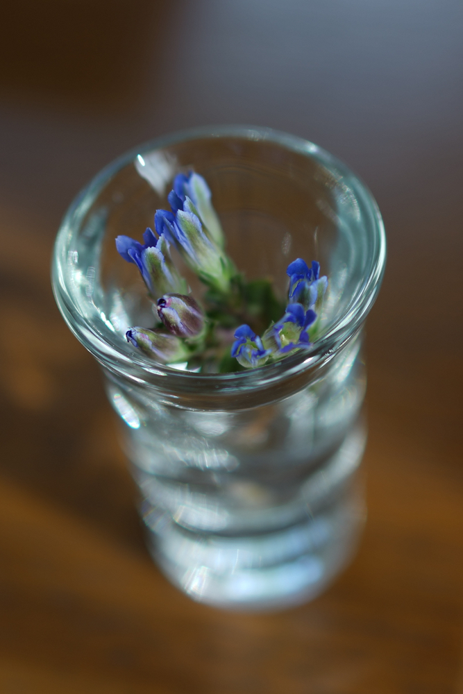 f:id:elmikamino:20150522084348j:image:h500