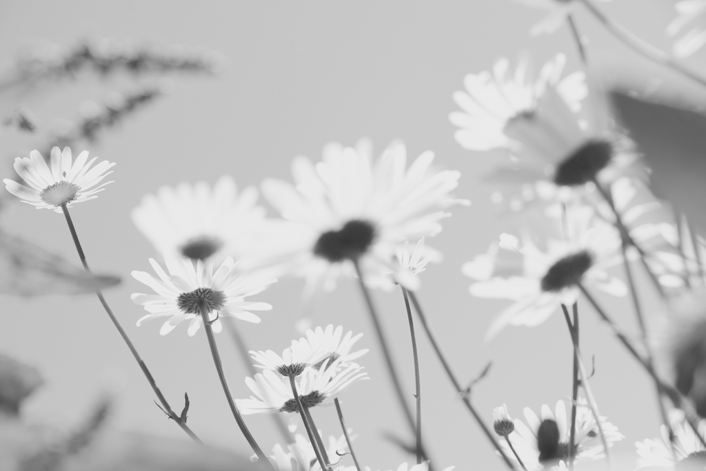 f:id:elmikamino:20150612123135j:image:w500