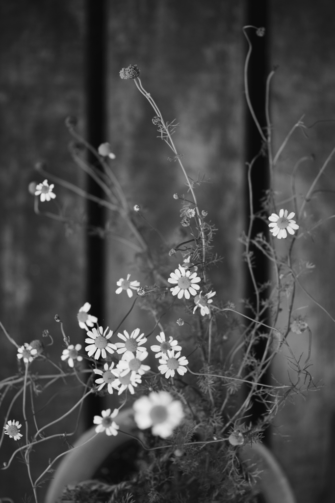 f:id:elmikamino:20150825112759j:image:h500