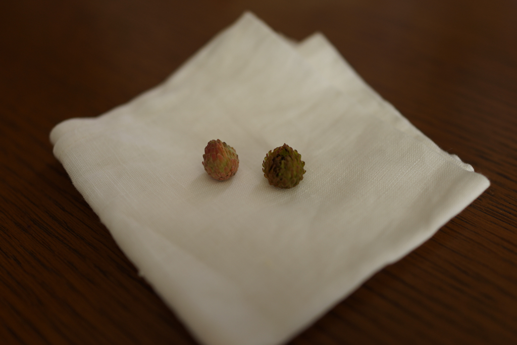 f:id:elmikamino:20151022100703j:image:w500