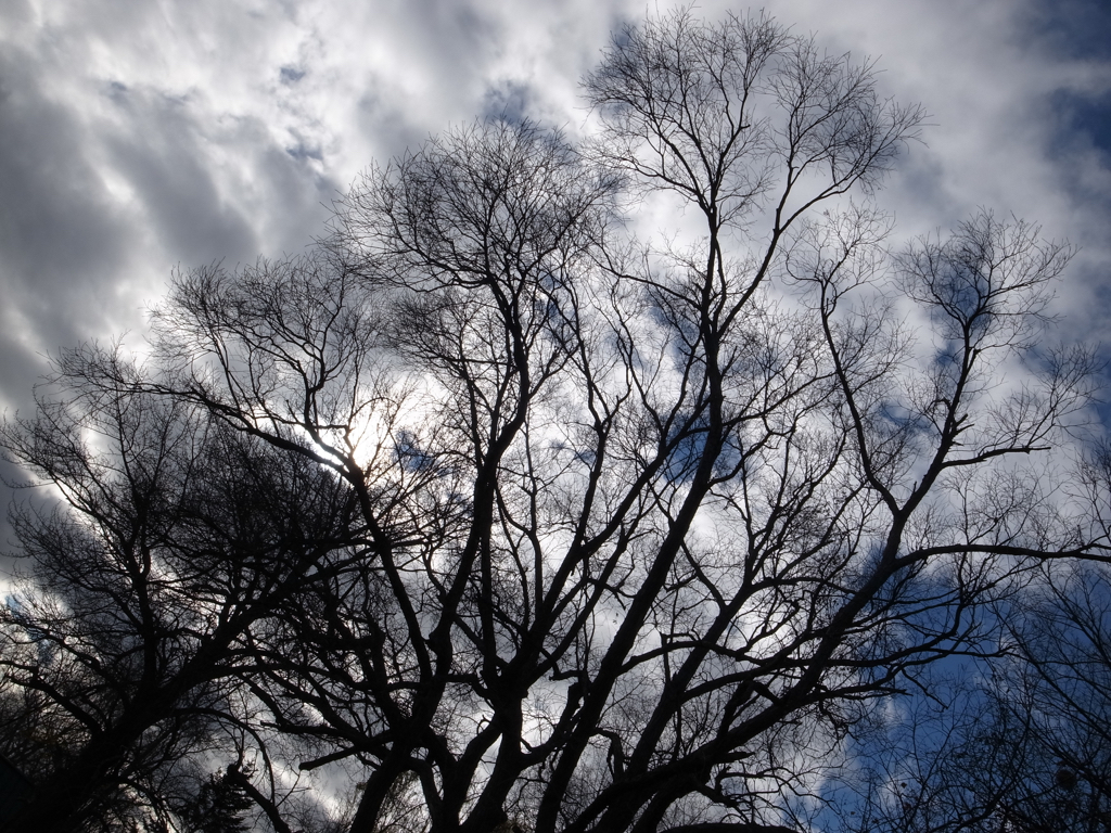 f:id:elmikamino:20151112123959j:image:w500