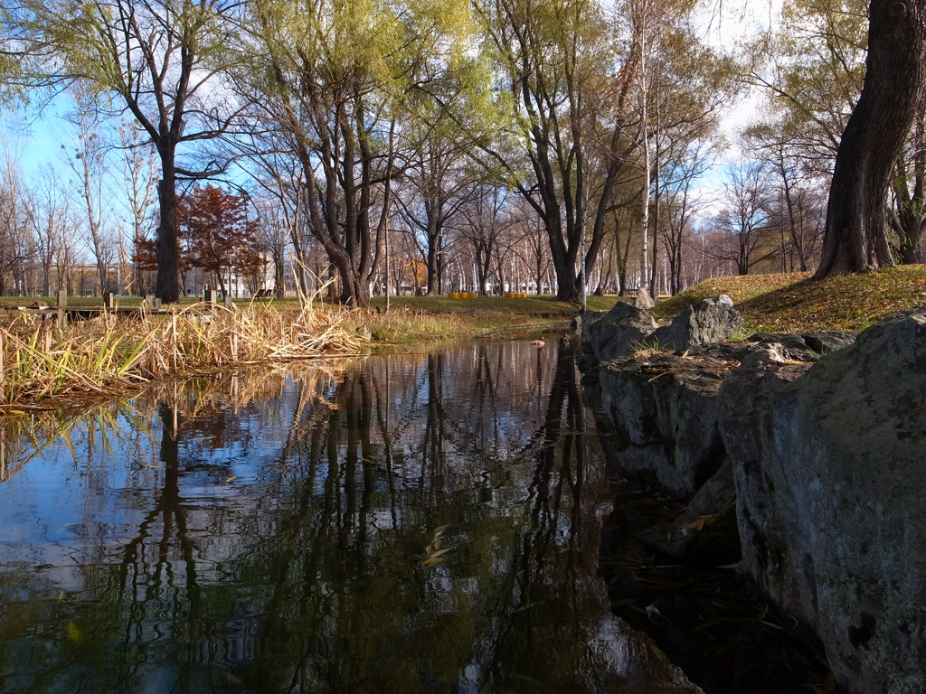 f:id:elmikamino:20151112125410j:image:w500