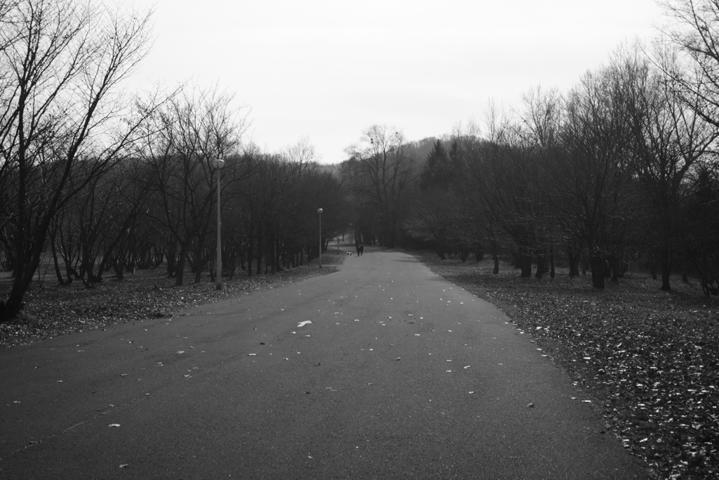 f:id:elmikamino:20151123123543j:image:w500