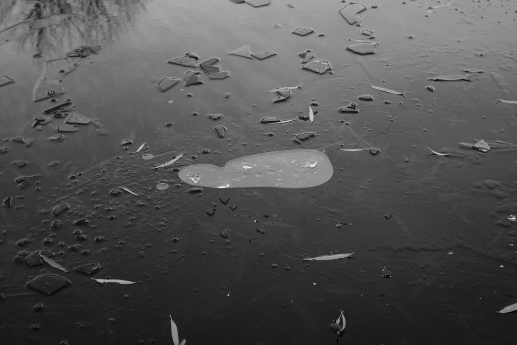 f:id:elmikamino:20151123124811j:image:w500