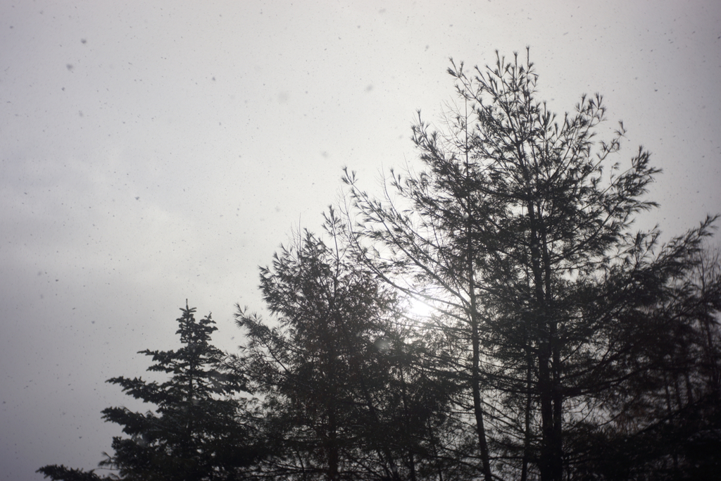 f:id:elmikamino:20151128083032j:image:w500