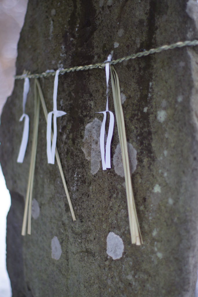 f:id:elmikamino:20160104112824j:image:h500