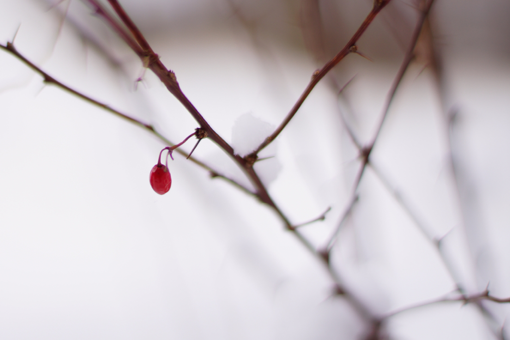 f:id:elmikamino:20160105110256j:image:w500
