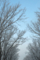 20160110080755