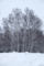 20160110113521