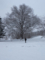 20160110113824