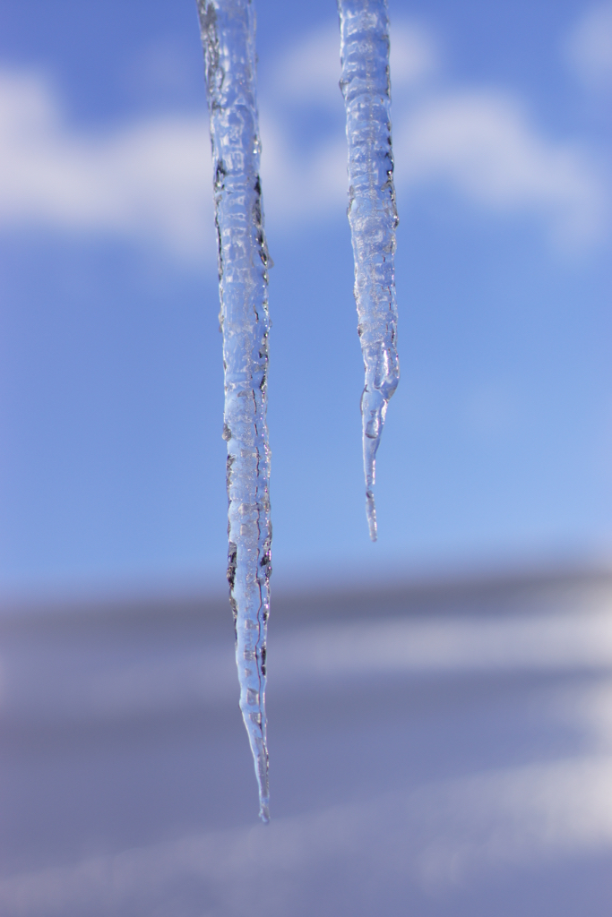 f:id:elmikamino:20160116091716j:image:h500