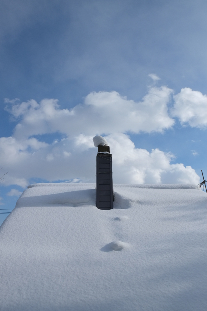 f:id:elmikamino:20160127112606j:image:h500