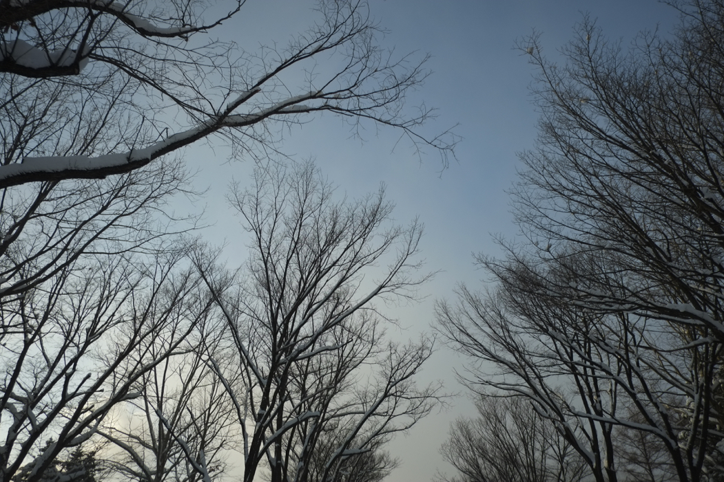 f:id:elmikamino:20160224165502j:image:w500
