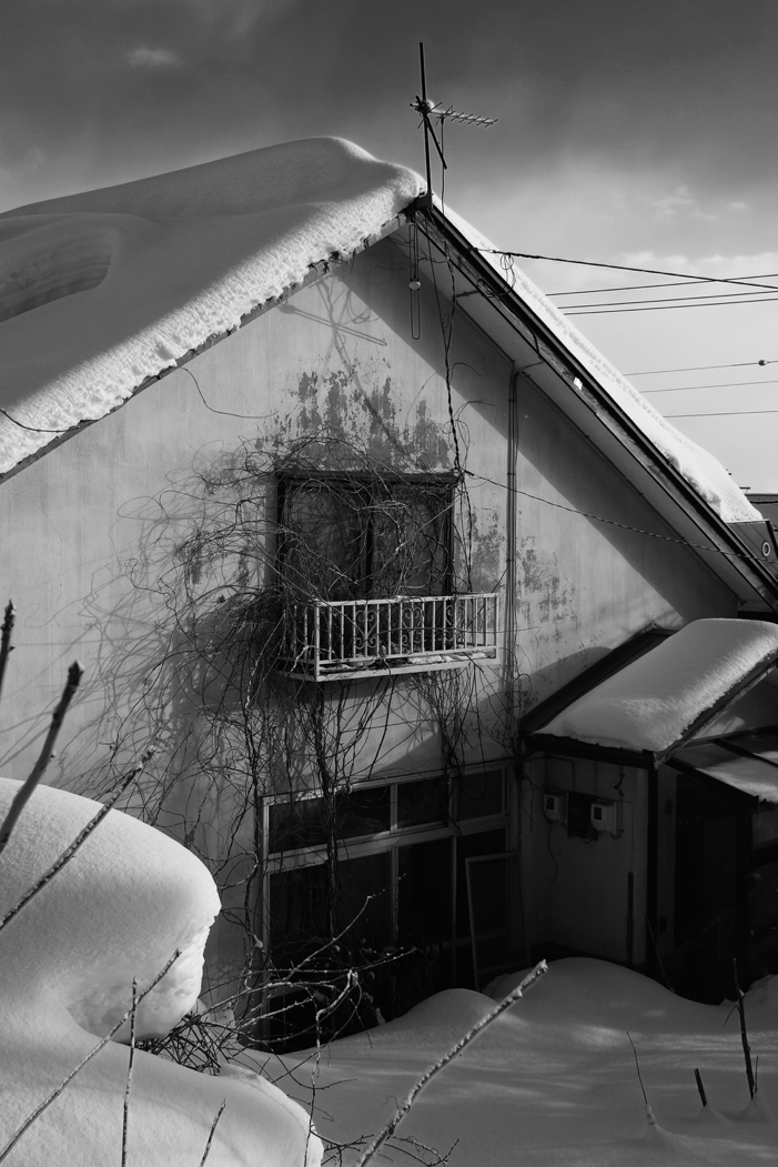 f:id:elmikamino:20160227075331j:image:h500