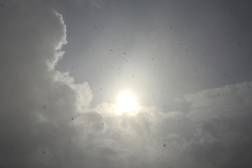 f:id:elmikamino:20160323154255j:image:w500