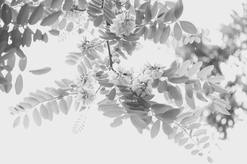 f:id:elmikamino:20160609105108j:image:w500
