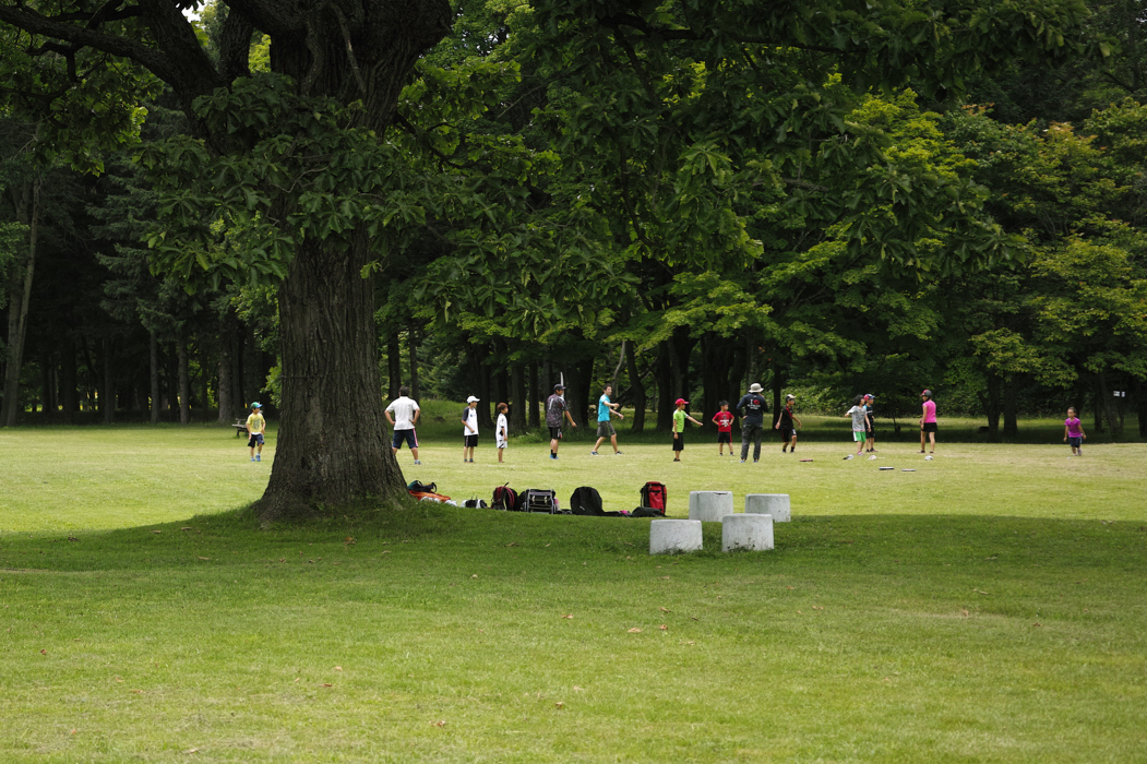 f:id:elmikamino:20160709113845j:image:w500