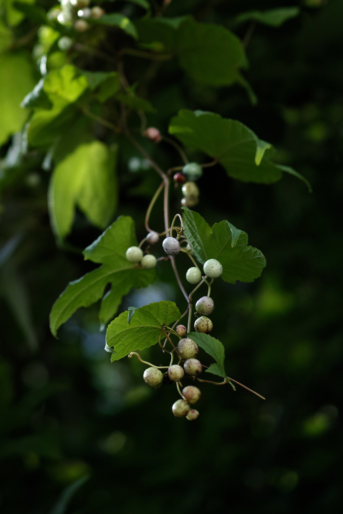 20160916102647