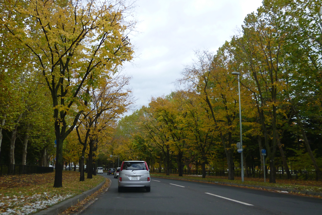 f:id:elmikamino:20161021104850j:image:w500