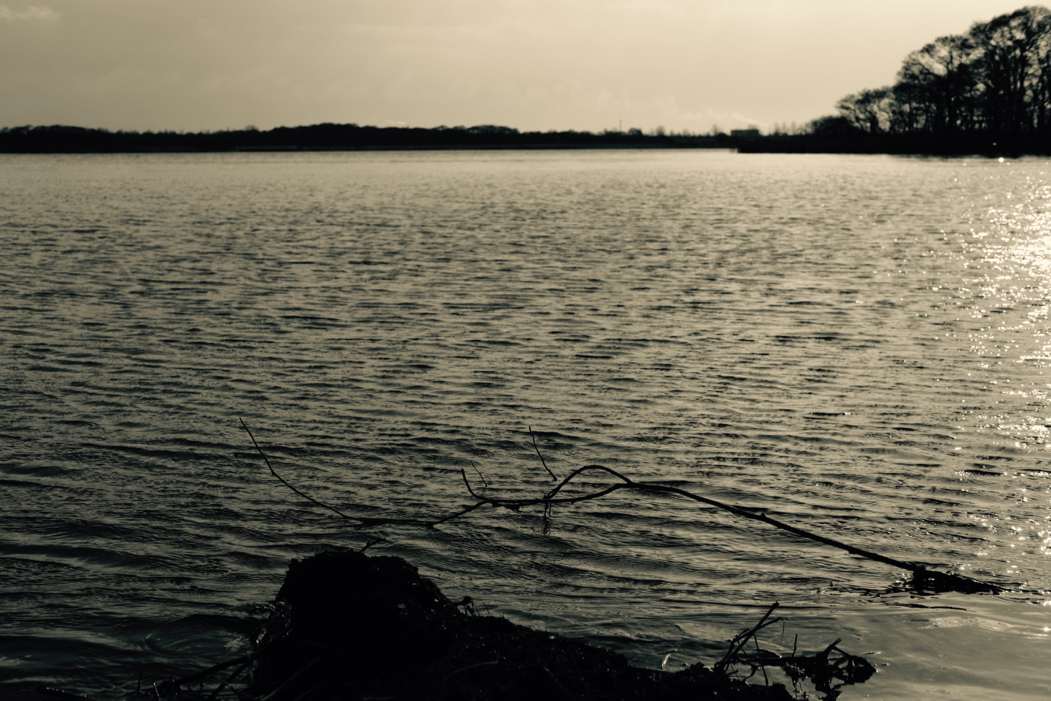 f:id:elmikamino:20161113111602j:image:w500