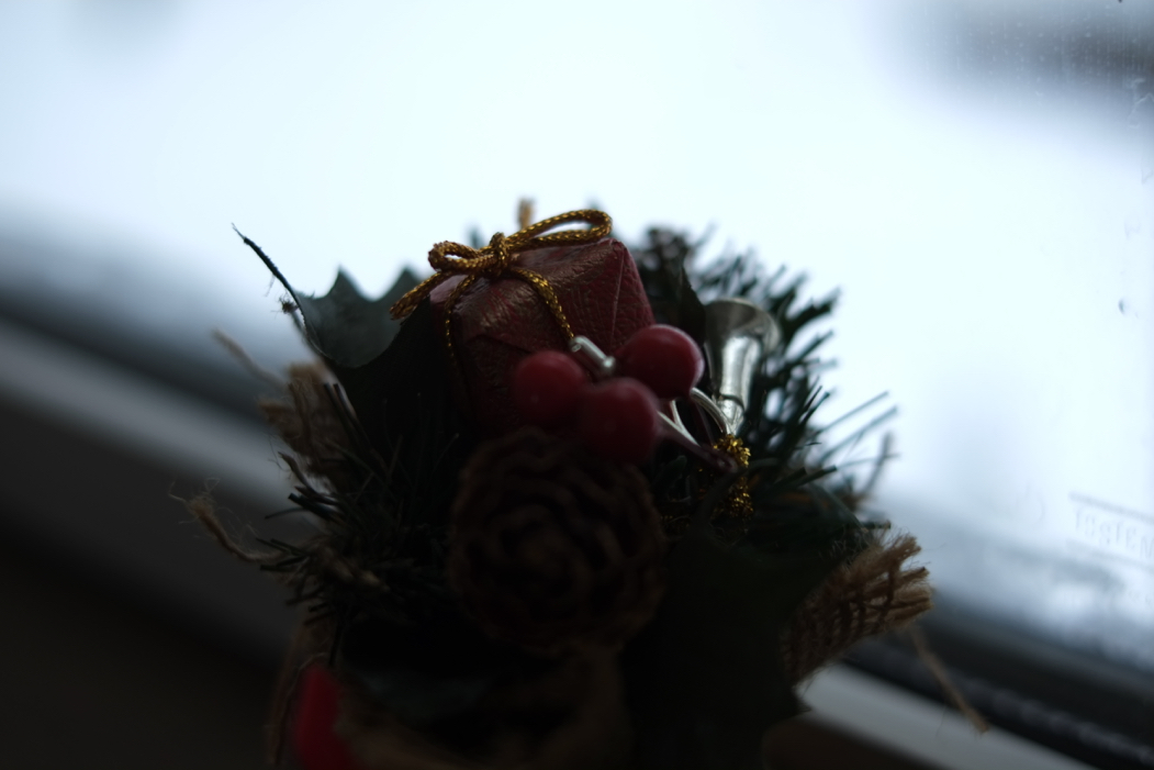 f:id:elmikamino:20161226091327j:image:w500