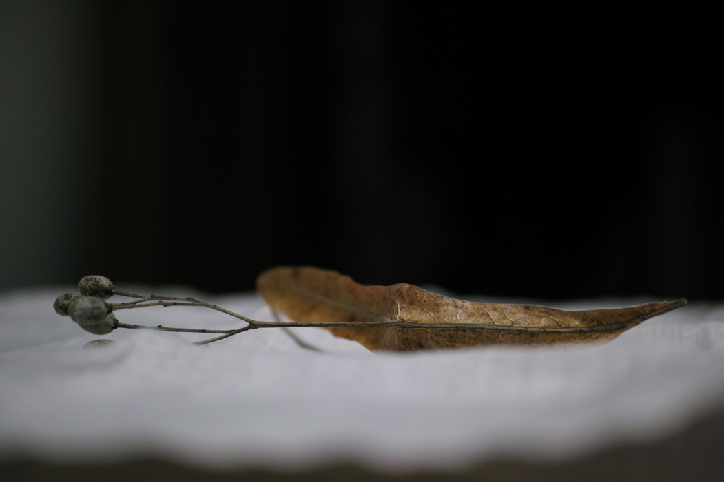 f:id:elmikamino:20170105165245j:image:w500