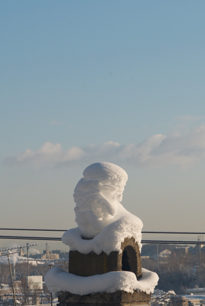 f:id:elmikamino:20170113070242j:image:h500