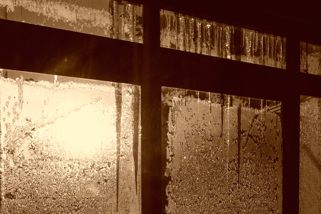 f:id:elmikamino:20170124073318j:image:w500