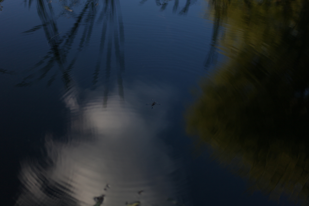 f:id:elmikamino:20170904164743j:image:w500