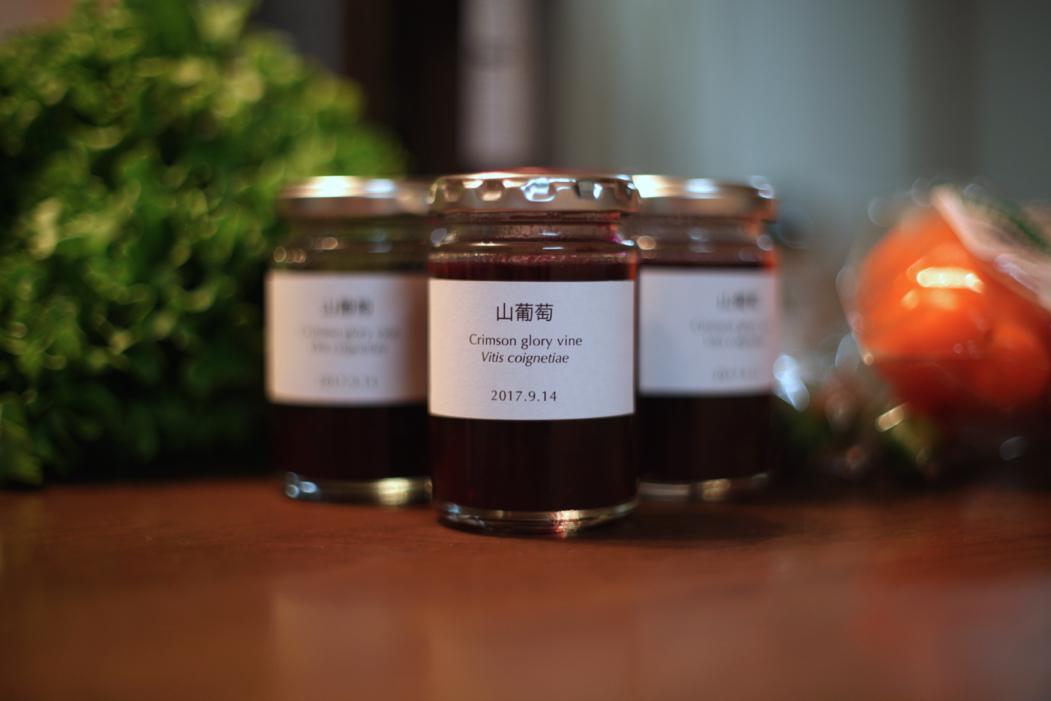 f:id:elmikamino:20170914182931j:image:w500