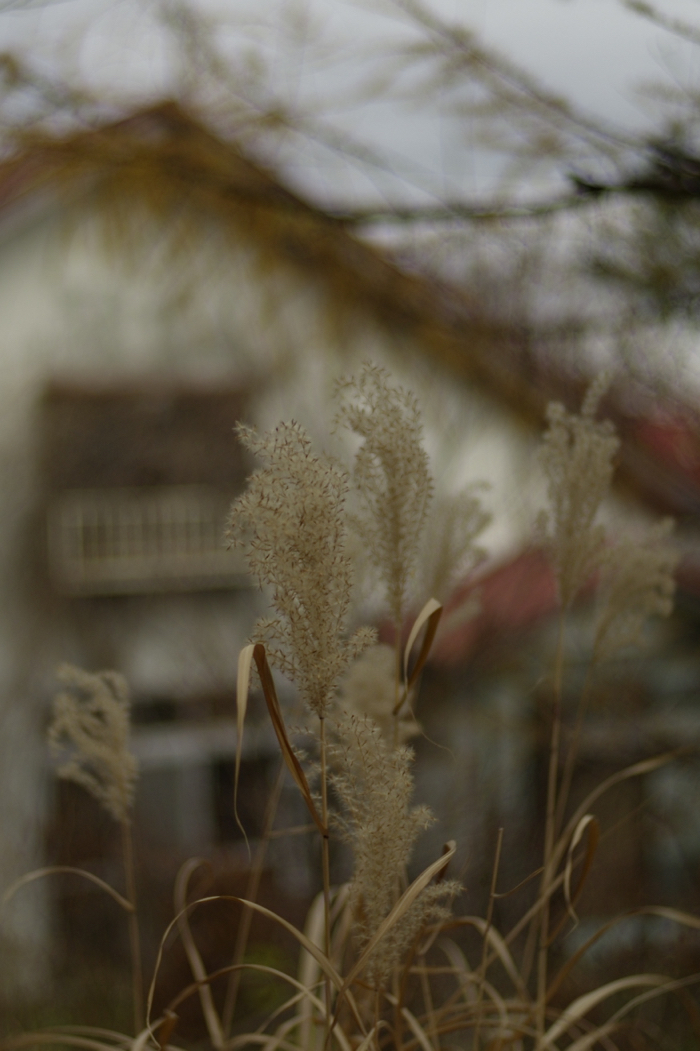 f:id:elmikamino:20171113115713j:image:h500