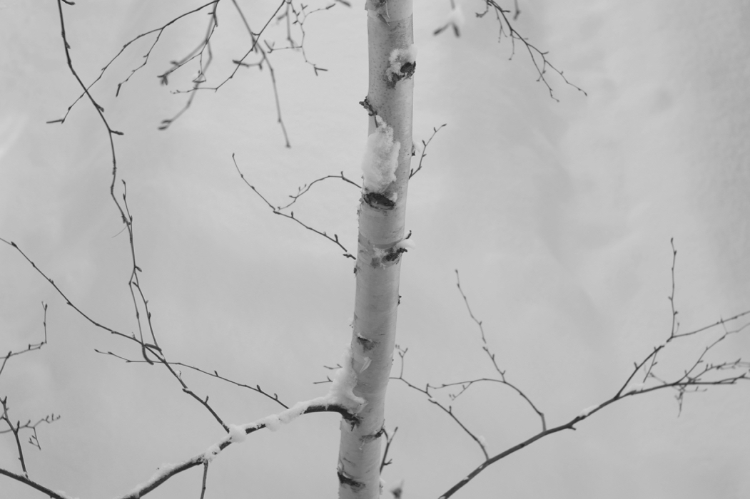 f:id:elmikamino:20180113110352j:image:w500