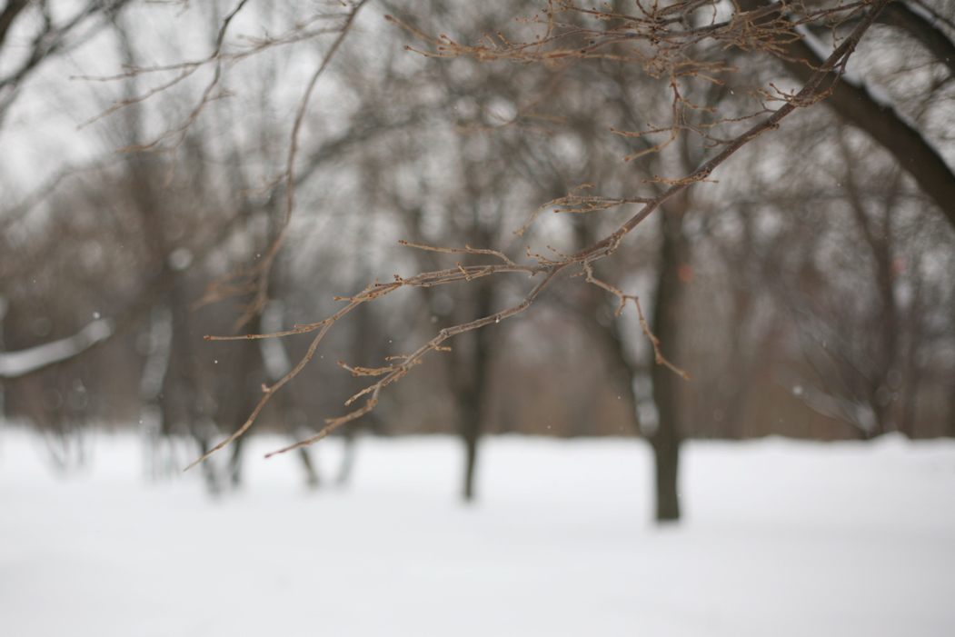 f:id:elmikamino:20180215140936j:image:w500