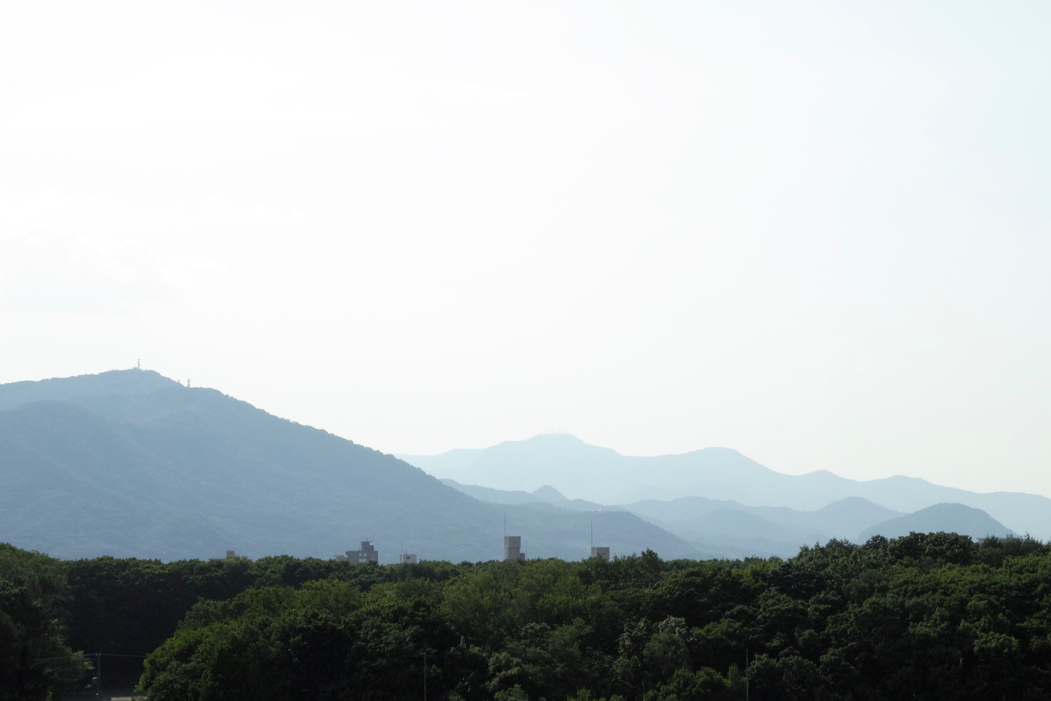 f:id:elmikamino:20180606155146j:image:w500