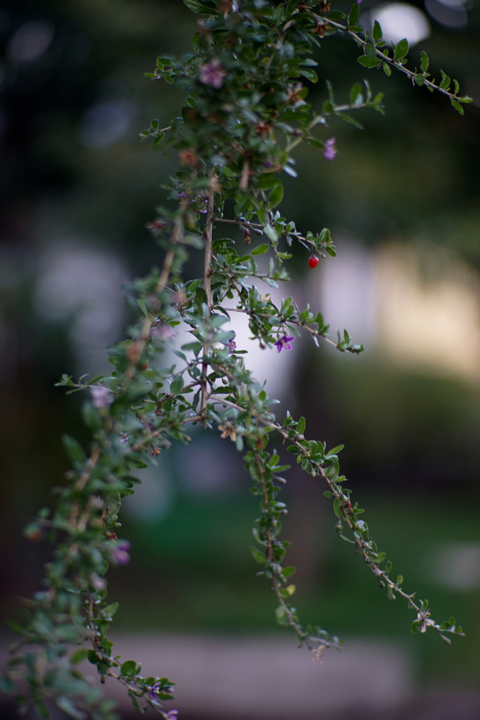 f:id:elmikamino:20181009154201j:image:h500