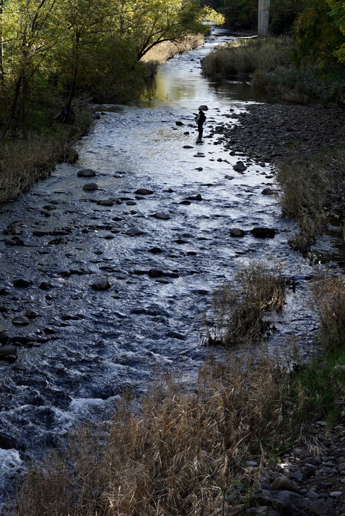 f:id:elmikamino:20181020122913j:image:h500