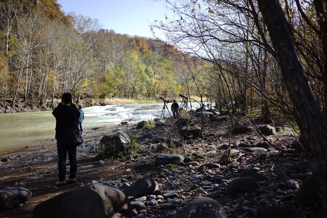 f:id:elmikamino:20181104114128j:image:w500