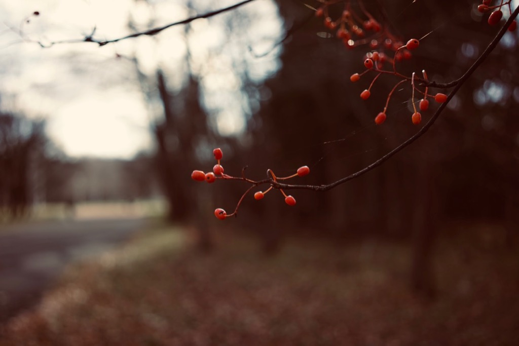 f:id:elmikamino:20181118121111j:image:w500
