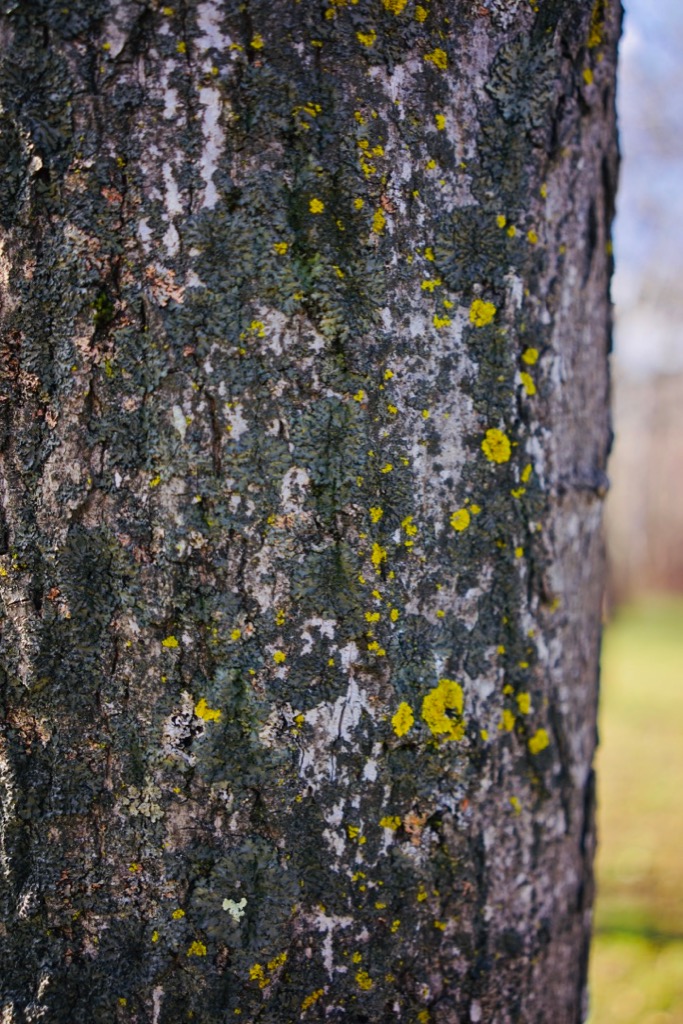 f:id:elmikamino:20181126112814j:image:h500