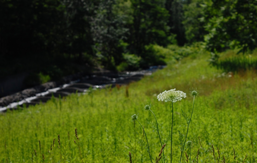 f:id:elmikamino:20190717094929j:plain