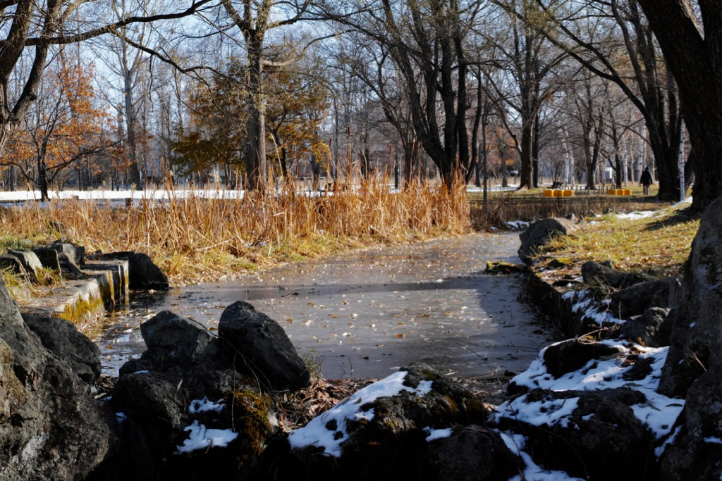 f:id:elmikamino:20191122105944j:plain