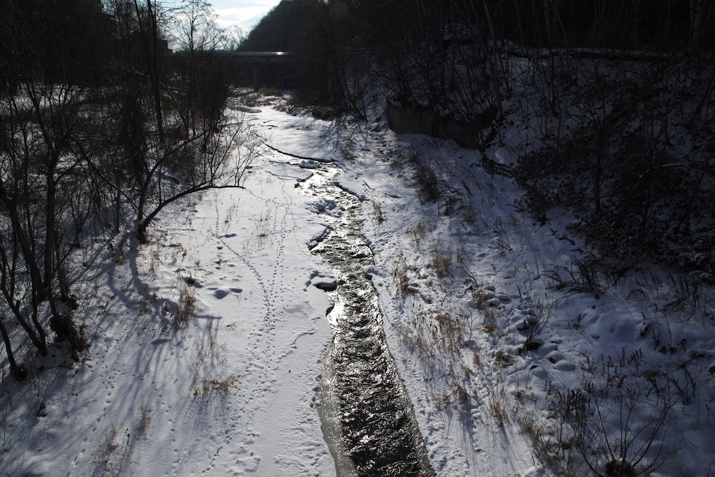 f:id:elmikamino:20200115103721j:plain