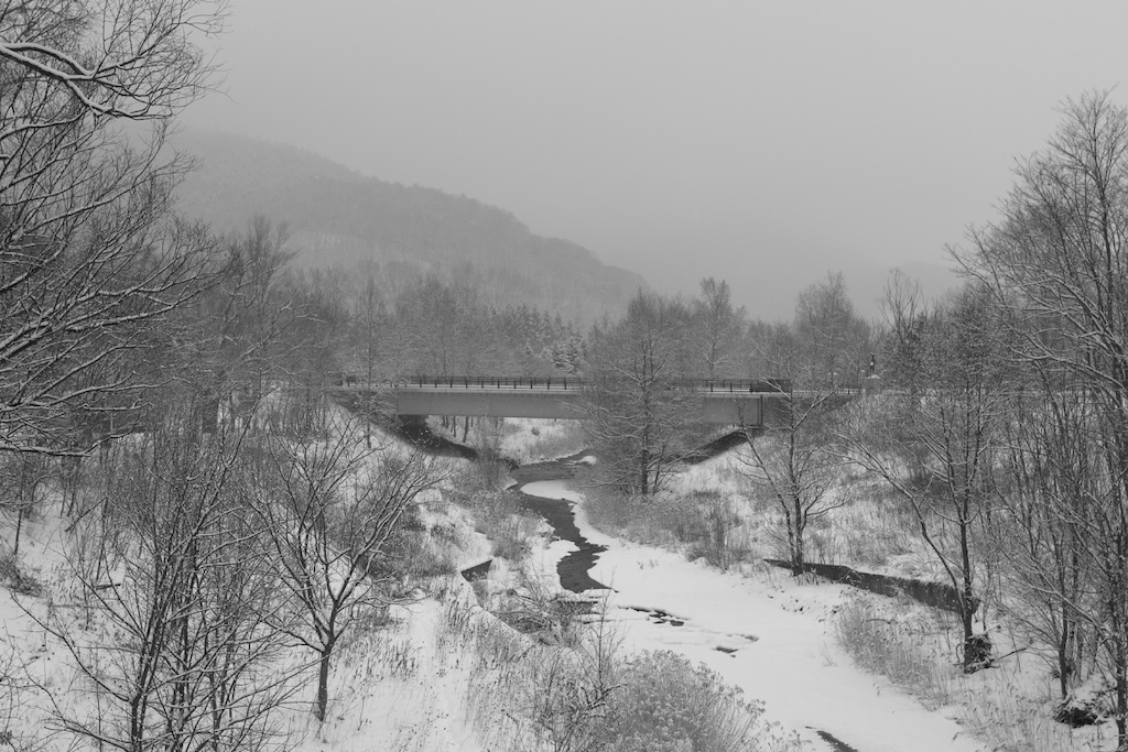 f:id:elmikamino:20200120110227j:plain