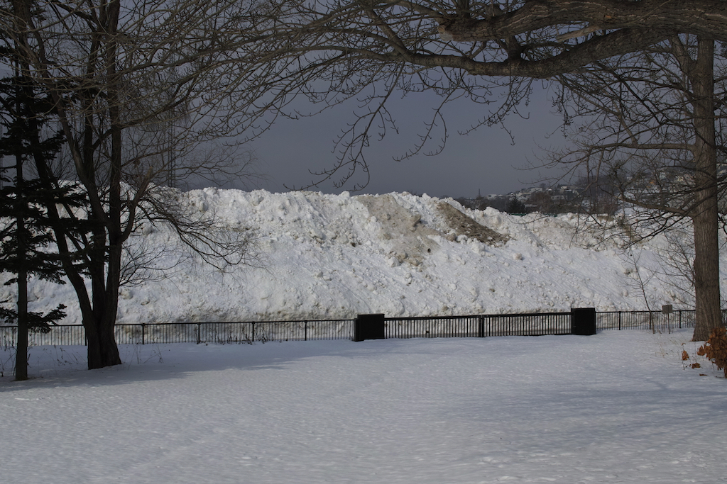 f:id:elmikamino:20200214101953j:plain