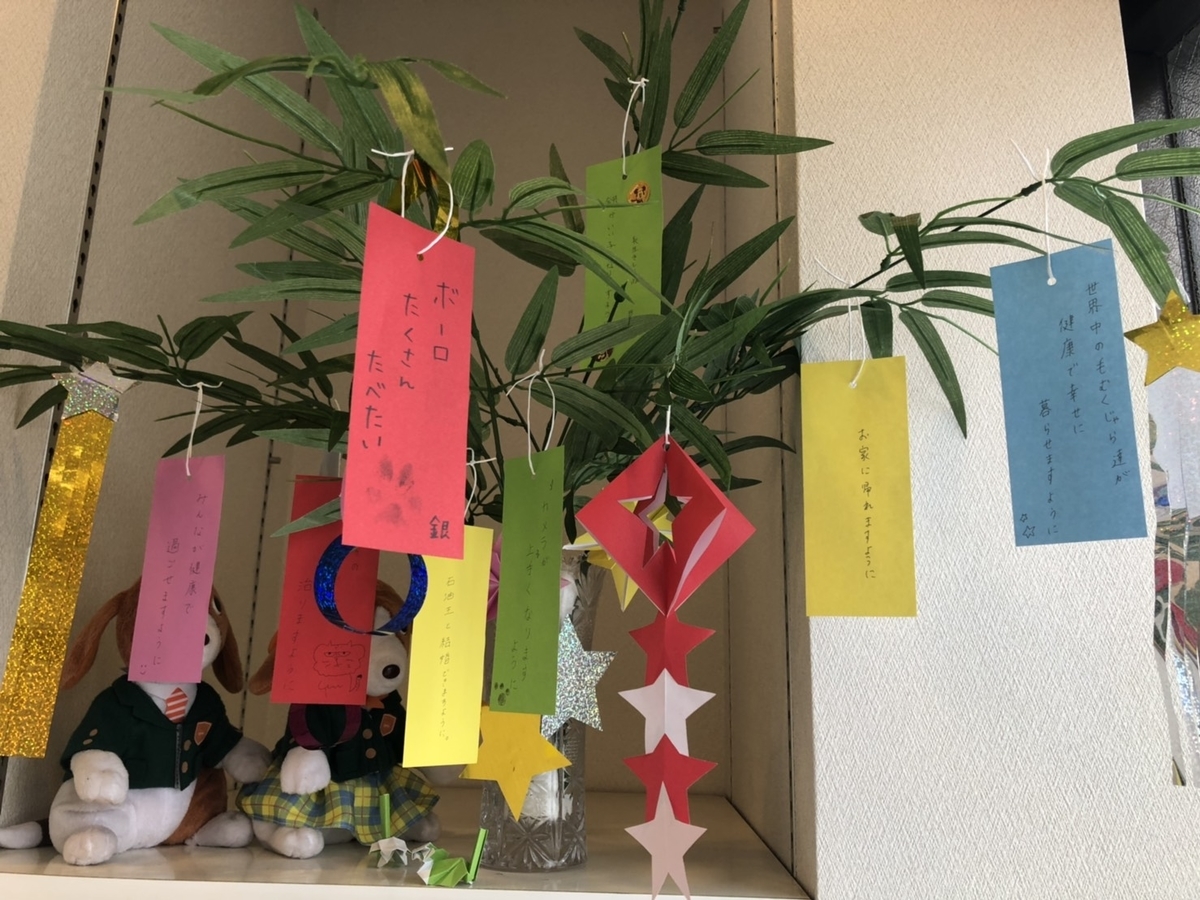 f:id:elmpetclinic:20190710174629j:plain