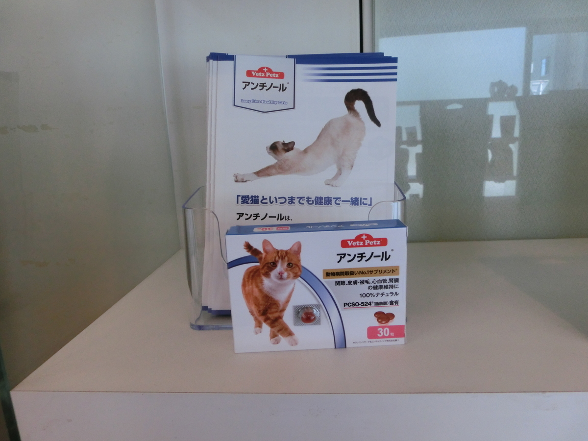 f:id:elmpetclinic:20190726104701j:plain