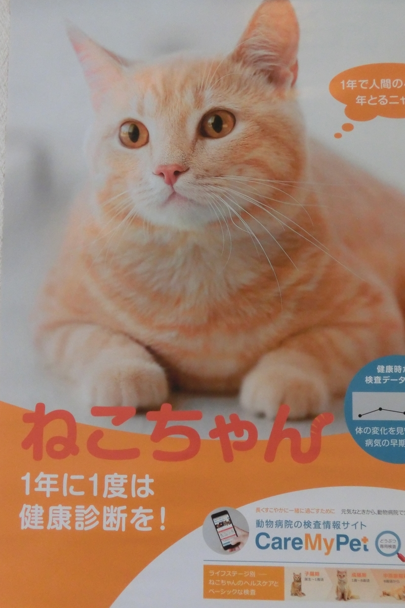 f:id:elmpetclinic:20190904101317j:plain