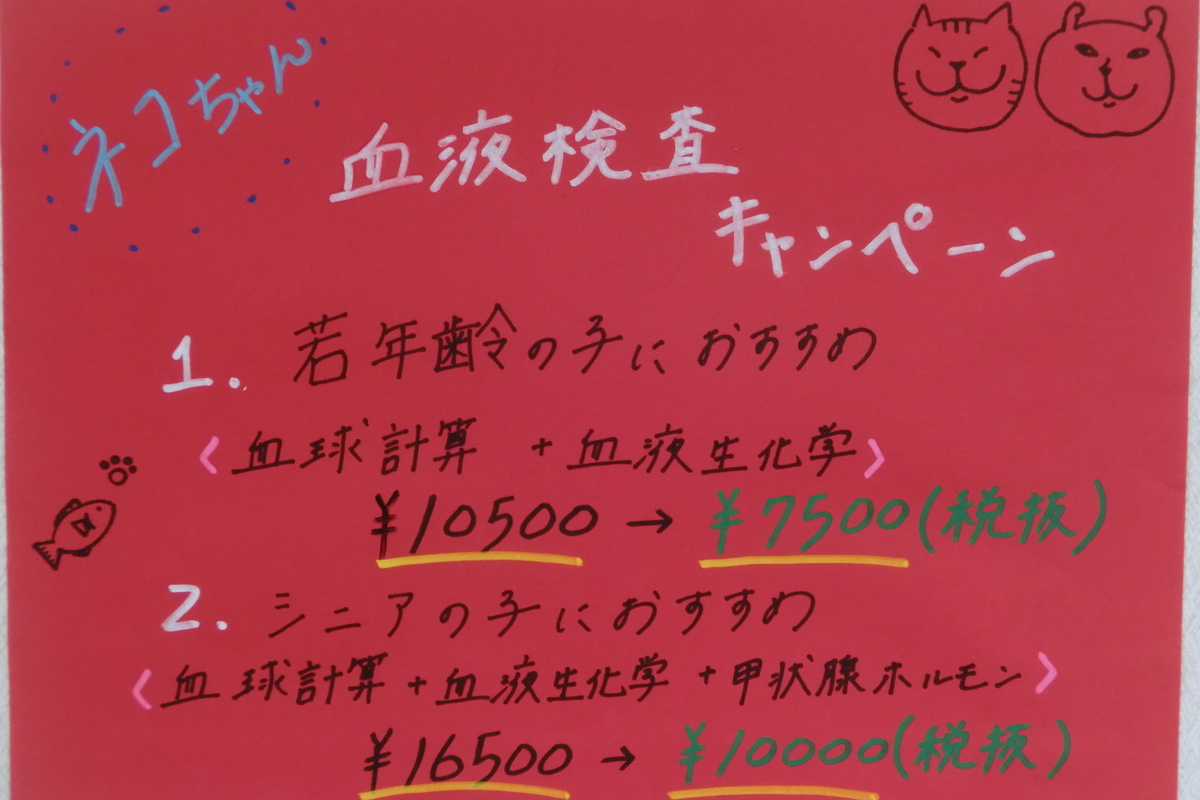 f:id:elmpetclinic:20190904102124j:plain