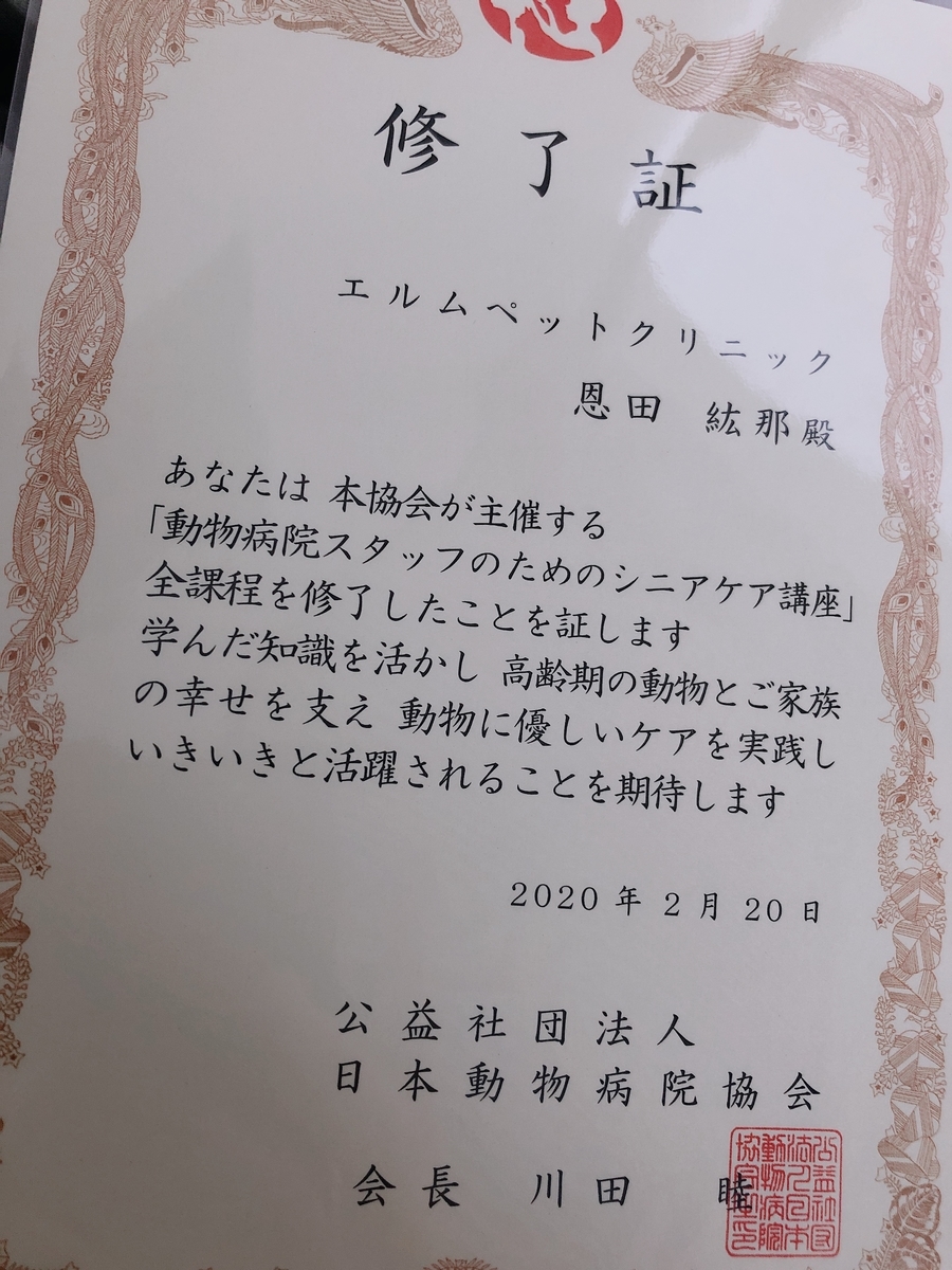 f:id:elmpetclinic:20200223105823j:plain f:id:elmpetclinic:20200223105823j:plain