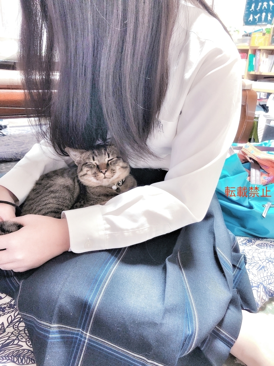 警視庁捜査一課長 藤野涼子さんと長見玲亜さんがかわいい マンガやな 警視庁捜査一課長 藤野涼子さんと長見玲亜さんがかわいい マンガやな